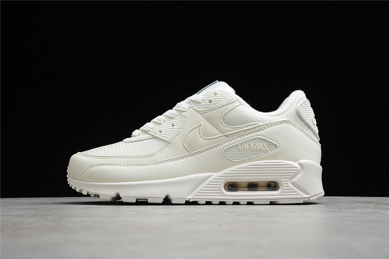 Nike AIR MAX 90 SAIL 30TH ANNIVERSARY BEIGE/BEIGE/WHITE · CT2007-100, photo 1