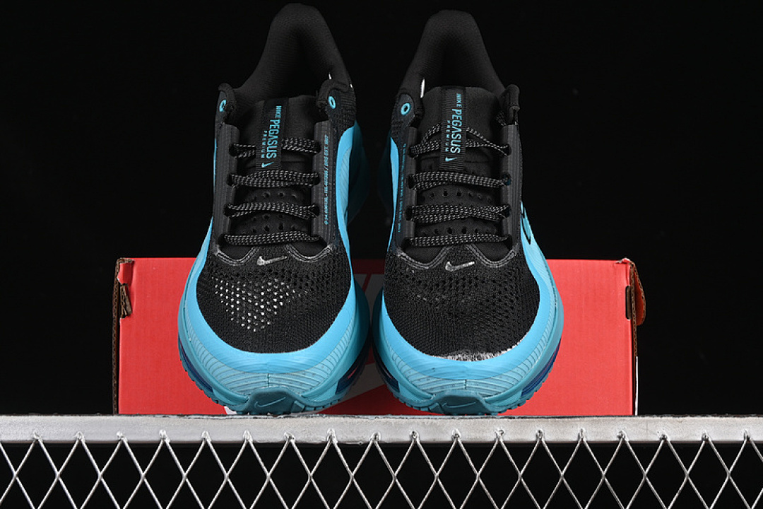 Nike [HQ2592-006]-[PEGASUS PREMIUM ANTHRACITE/PURE PLATINUM/ASHEN SLATE/GREY/METALLIC (SILVER]) - Image 13