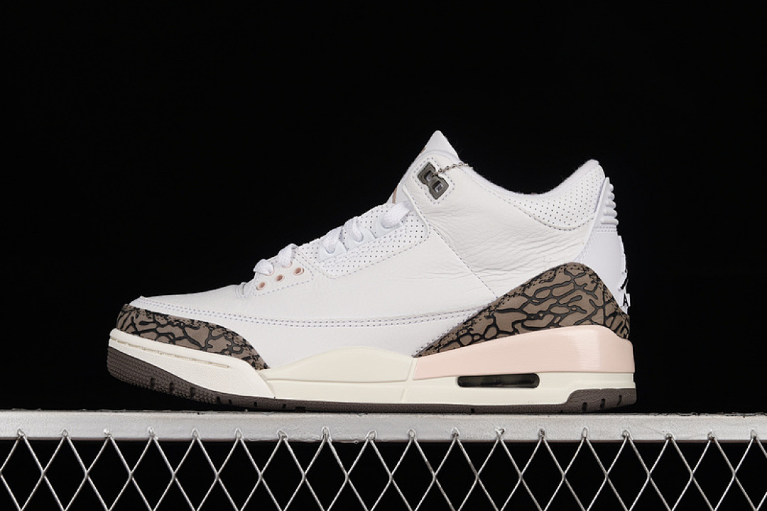 Jordan AIR Jordan 3 RETRO NEAPOLITAN WHITE/DARK MOCHA/ATMOSPHERE/SAIL · CK9246-102, photo 1