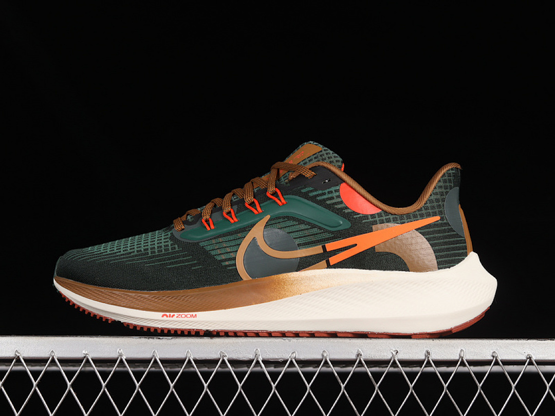 Nike [DO9500-300]-[AIR ZOOM PEGASUS 39 A.I.R. HOLA LOU DARK GREEN/WHITE/BROWN]-[MAN:39-45], photo 1