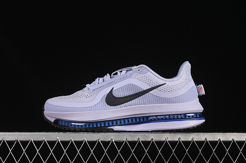 Nike Nike AIR ZOOM PEGASUS PREMIUM BLACK/PURPLE · HQ2592-004, photo 1