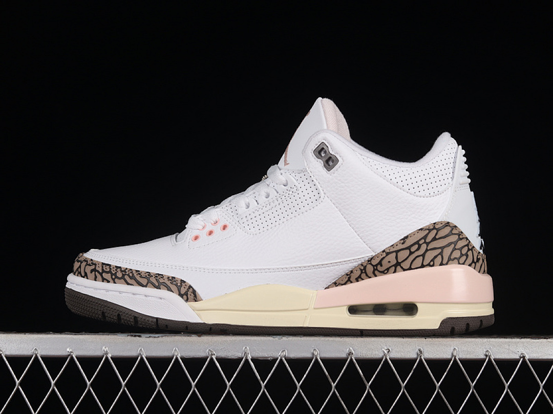 Jordan AIR Jordan 3 RETRO NEAPOLITAN WHITE/DARK MOCHA/ATMOSPHERE/SAIL · CK9246-102, photo 1
