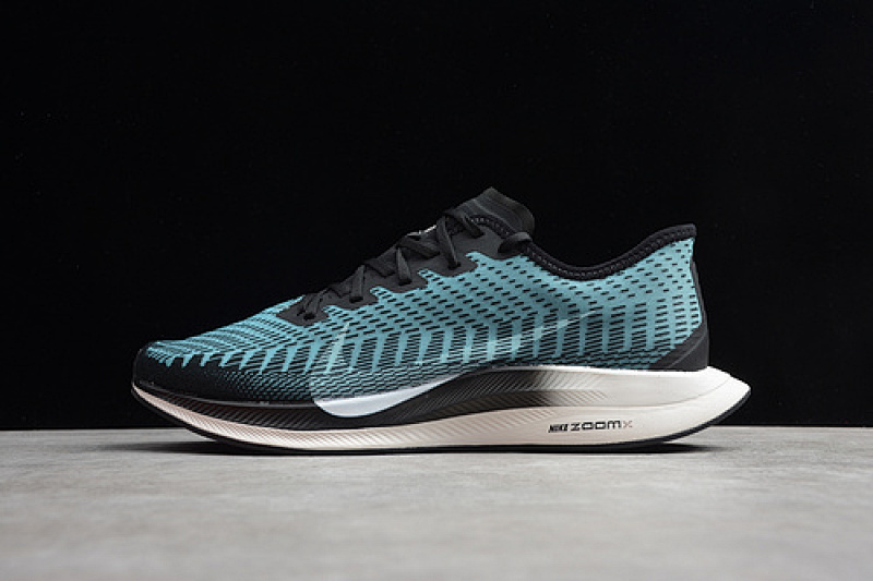 Nike Nike ZOOM PEGASUS TURBO 2.0 BLACK/PUMICE/AURORA/PHANTOM GRAY · AT2863-006, photo 1