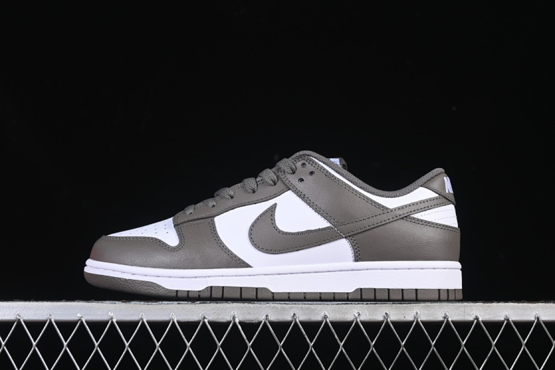Nike DUNK LOW CASUAL SNEAKERS DARK GRAY/WHITE · HF5441-111, photo 1