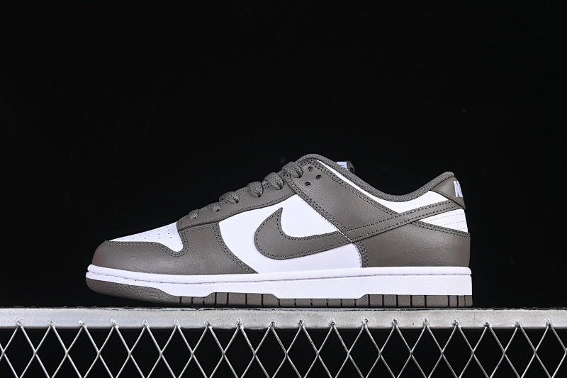 Nike DUNK LOW CASUAL SNEAKERS DARK GRAY/WHITE · HF5441-111, photo 1