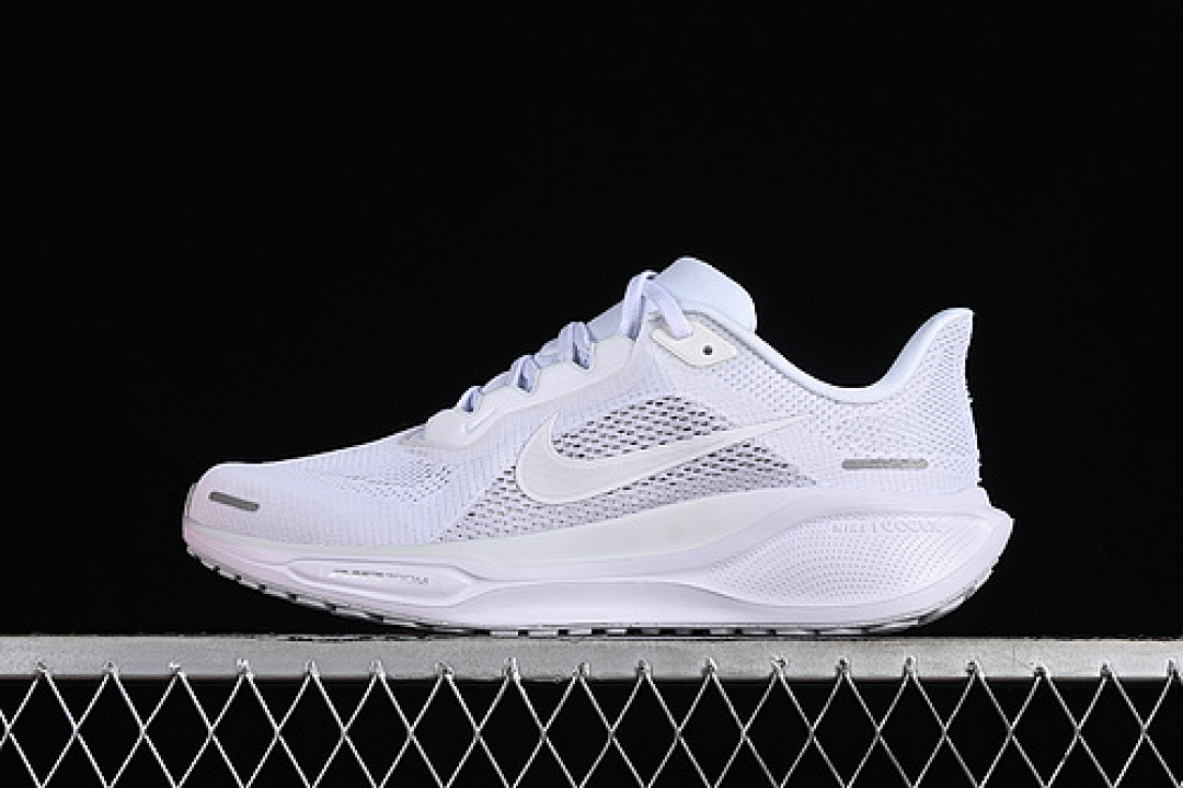 Nike Nike AIR ZOOM PEGASUS 41 WHITE/PURE PLATINUM/METALLIC SILVER/WHITE · FD2722-102, photo 1