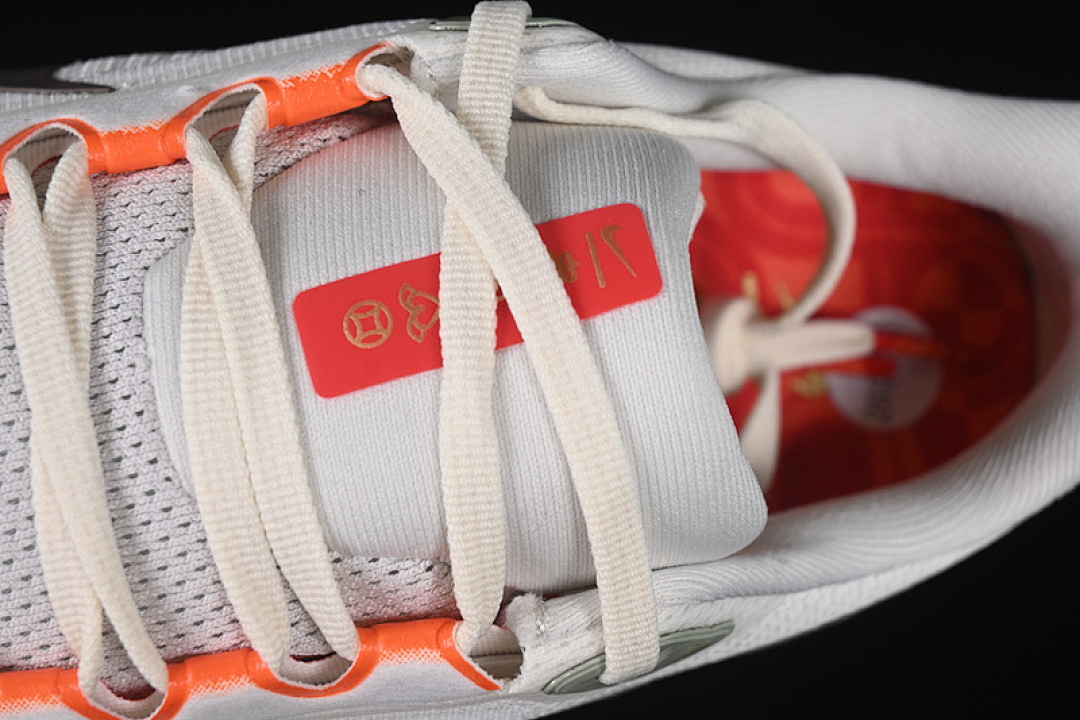 Nike [HV5975-102]-[AIR ZOOM PEGASUS 41 GTX SAIL/LIGHT KHAKI/SAFETY ORANGE/IRONSTONE]-[UNISEX:36-46] - Image 9