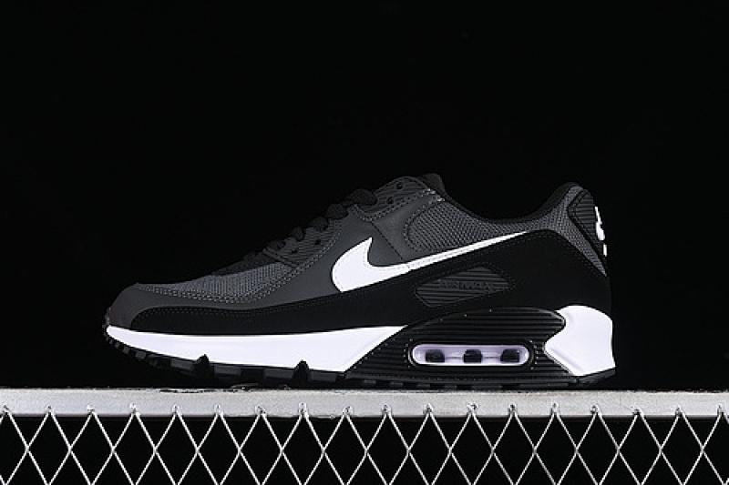 Nike AIR MAX 90 IRON GREY/DARK SMOKE GREY-BLACK-WHITE · CN8490-002, photo 1