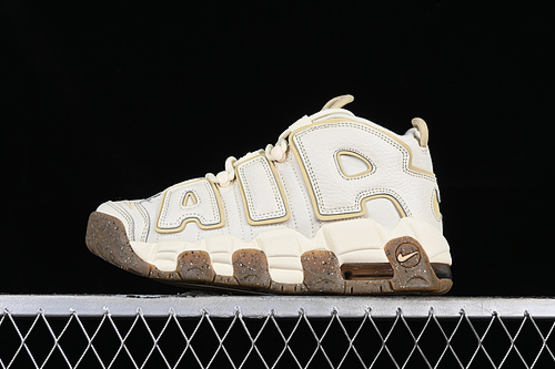 Nike [DX1939-100]-[AIR MORE UPTEMPO 96 QS GREY/BROWN]-[WOMAN:36-39]-[MAN:40-46], photo 1
