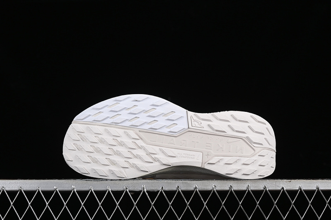 Nike [DV3864-101]-[PEGASUS TRAIL 5 SUMMIT WHITE/LIGHT OREWOOD BROWN/SAIL]-[WOMAN:36-39]-[MAN:40-46] - Image 14