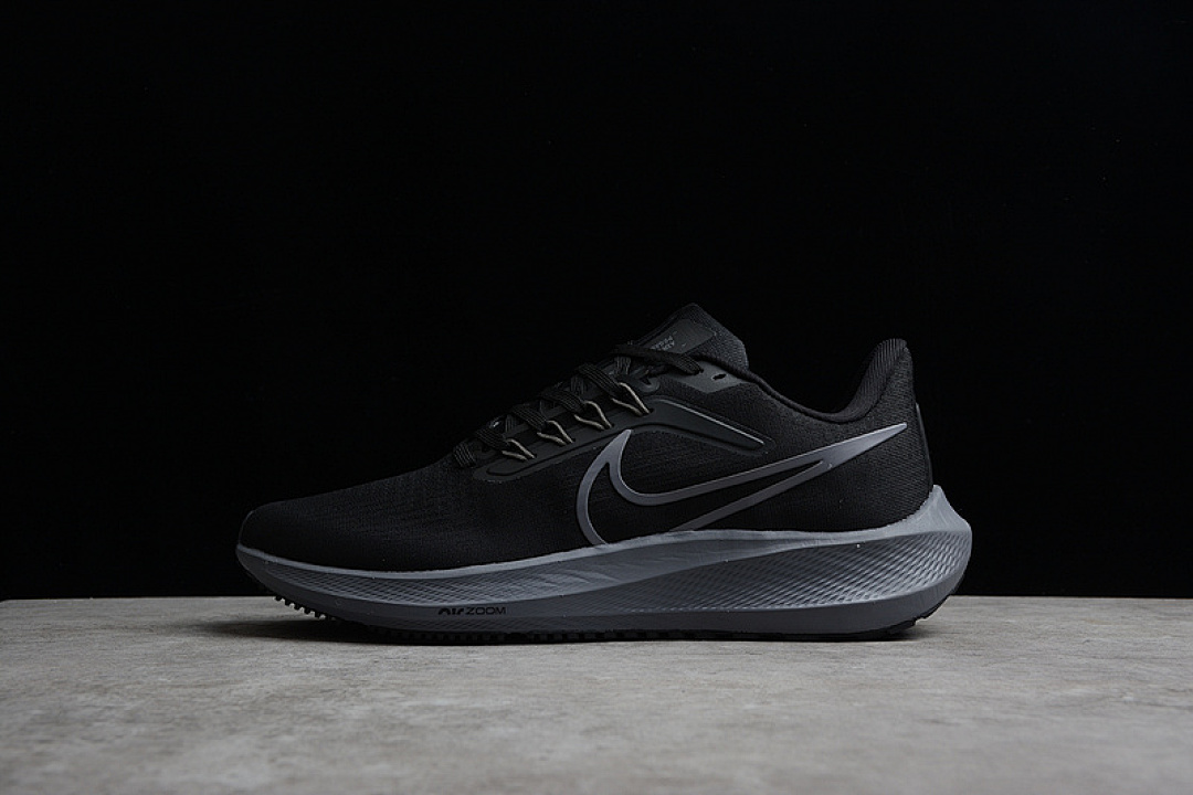 Nike Nike AIR ZOOM PEGASUS 39 BLACK/SILVER/DARK GREY · DH4071-103, photo 1