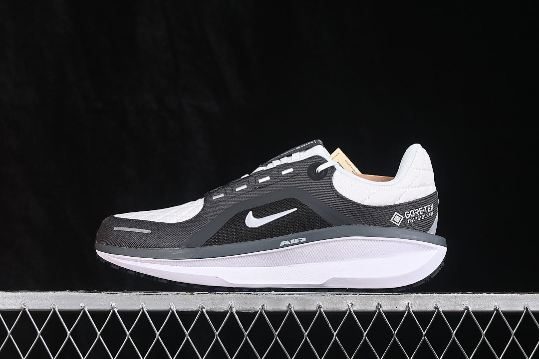 WINFLO 11 GORE-TEX BLACK/PHOTON DUST/METALLIC SILVER · FQ1358-004, photo 1