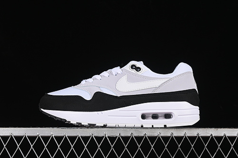 Nike AIR MAX 1 WOLF GREY/WHITE/BLACK · AH8145-003, photo 1