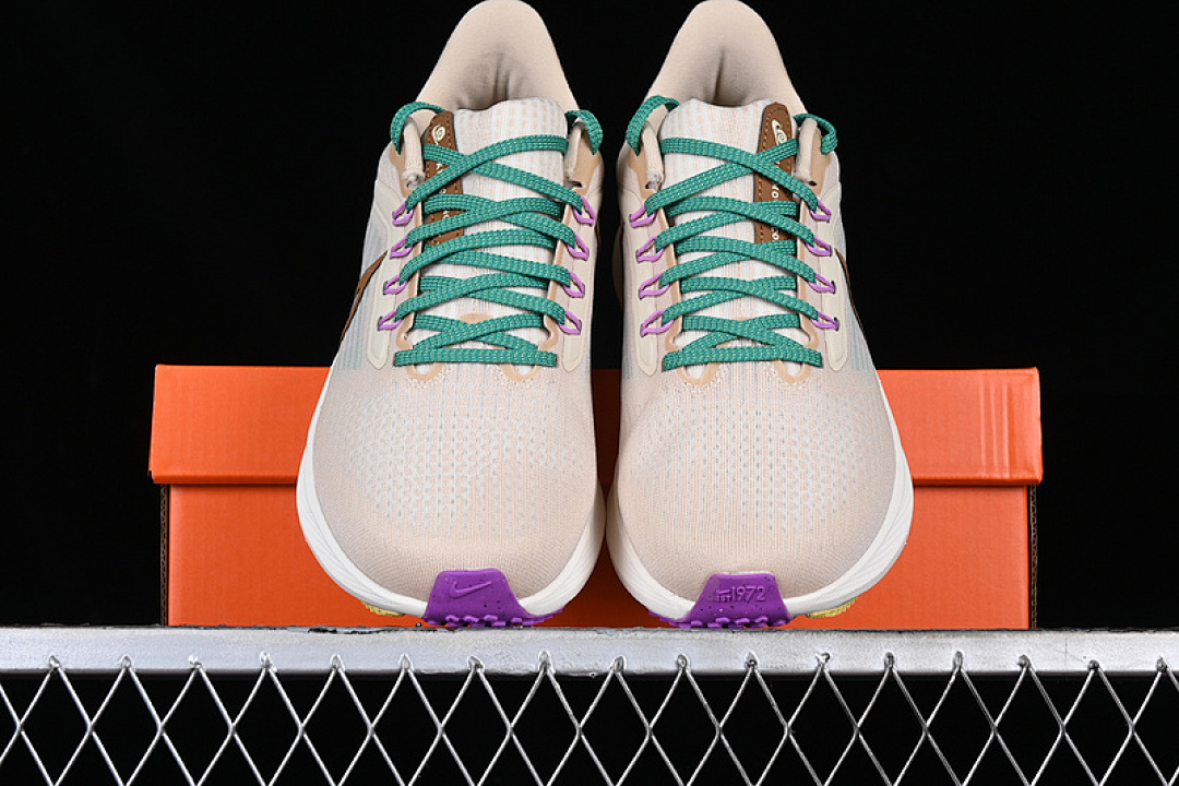 Nike [DV8922-100]-[AIR ZOOM PEGASUS 39 WHITE/GREY/BROWN/GREEN]-[MAN:39-46] - Image 2