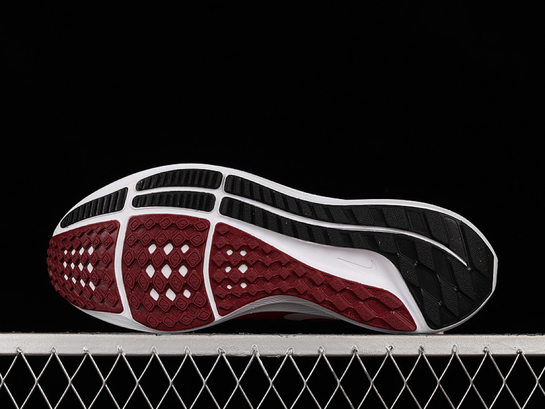 Nike [DQ7896-600]-[AIR ZOOM PEGASUS 39 RED/RED/WHITE]-[MAN:39-45] - Image 13