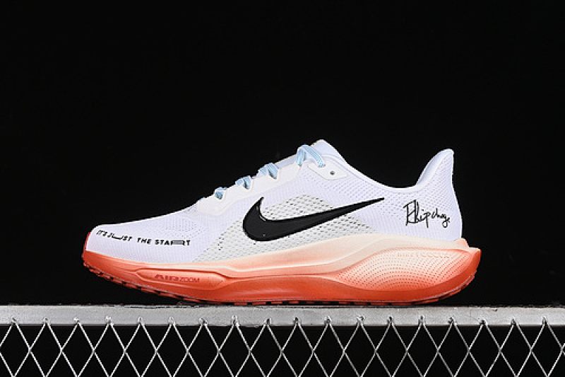 Nike Nike ELIUD KIPCHOGE X AIR ZOOM PEGASUS 41 WHITE/BLACK/PALE IVORY/DRAGON RED/GREEN · HJ7037-100, photo 1