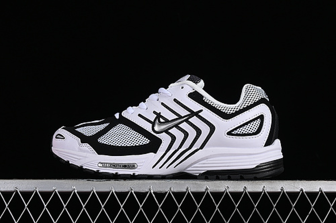 Nike [FJ1909-100]-[AIR PAGASUS 2005 WHITE/METALLIC SILVER/BLACK/BLACK]-[WOMAN:36-39]-[MAN:40-45], photo 1