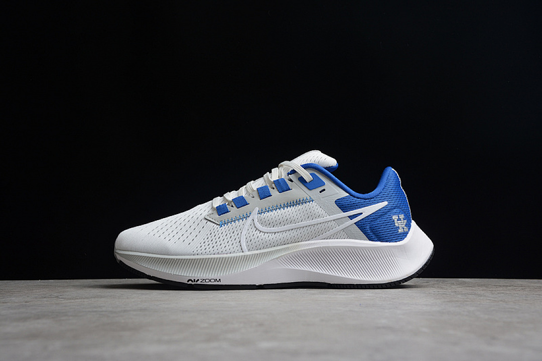 Nike Nike AIR ZOOM PEGASUS 38 KENTUCKY NIGHT SILVER/GAME ROYAL/BLACK/WHITE · DJ0830-001, photo 1
