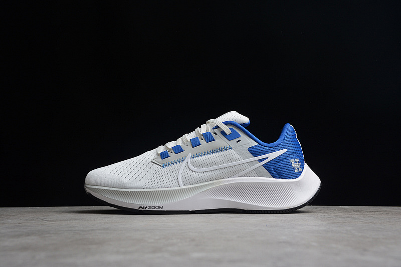 Nike Nike AIR ZOOM PEGASUS 38 KENTUCKY NIGHT SILVER/GAME ROYAL/BLACK/WHITE · DJ0830-001, photo 1