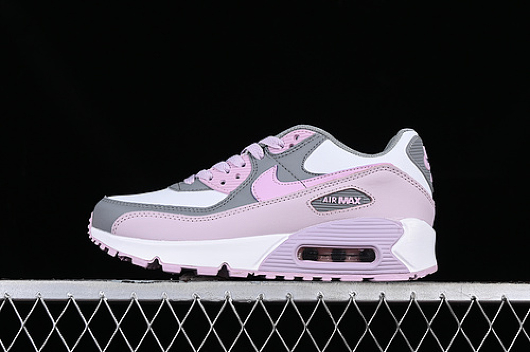Purple Nike AIR MAX 90 GREY/WHITE/PURPLE · CD6864-002, photo 1