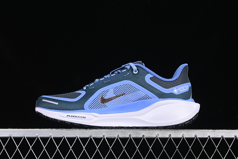 Nike Nike AIR ZOOM PEGASUS 41 GTX COBALT BLISS/ARMORY NAVY/ROYAL PULSE/METALLIC RED BRONZE · FQ1357-400, photo 1