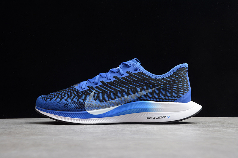 Nike Nike ZOOM PEGASUS TURBO 2.0 RACER BLUE/WHITE · AT2863-400, photo 1