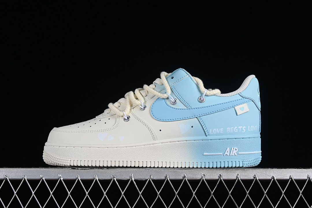 Nike Nike AIR FORCE 1 07 LOW WHITE/BLUE · DX2340-002, photo 1
