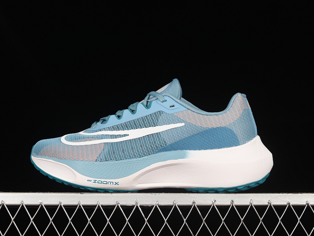ZOOM FLY 5 BLUE/BLUE/WHITE · DM8968-400, photo 1