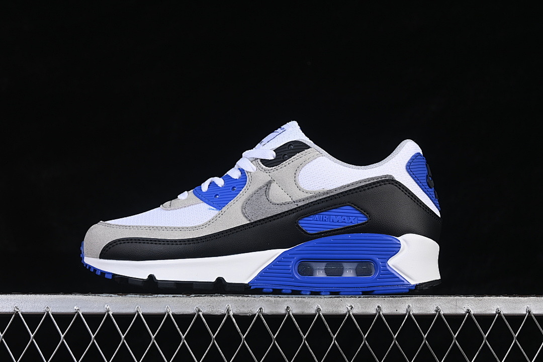 Nike AIR MAX 90 WHITE/LIGHT SMOKE GREY/BLACK/PARTICLE GREY · DM0029-112, photo 1