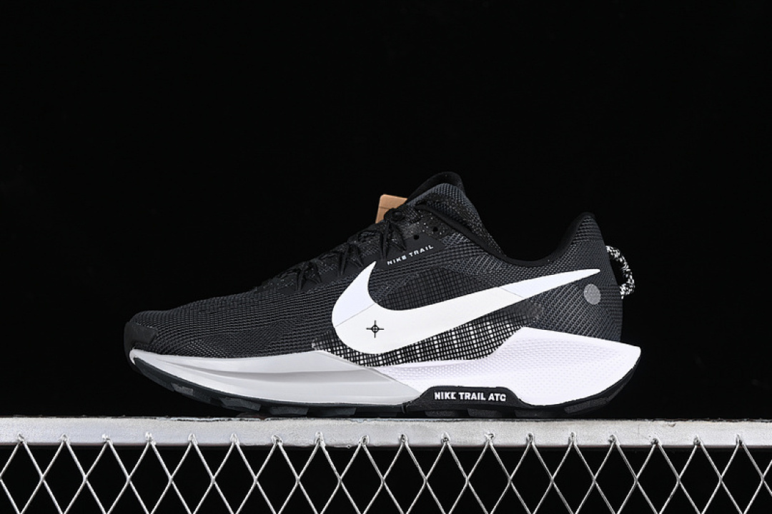 Nike Nike PEGASUS TRAIL 5 BLACK/ANTHRACITE/WOLF GREY/WHITE · DV3864-001, photo 1