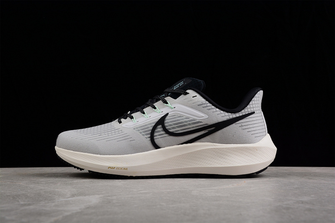 Nike Nike AIR ZOOM PEGASUS 39 WOLF GREY/BLACK-WHITE · DH4071-004, photo 1