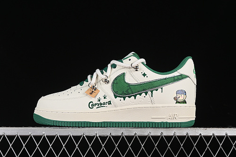 Nike Nike AIR FORCE 1 07 LOW CAPYBARA VAN GOGH WHITE/GREEN · LV0506-330, photo 1