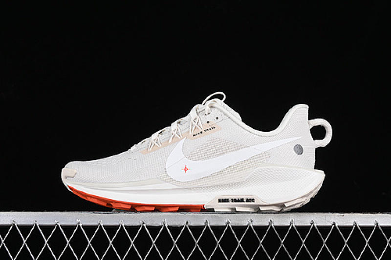 Nike Nike PEGASUS TRAIL 5 WHITE/GREY/ORANGE · DV3864-003, photo 1