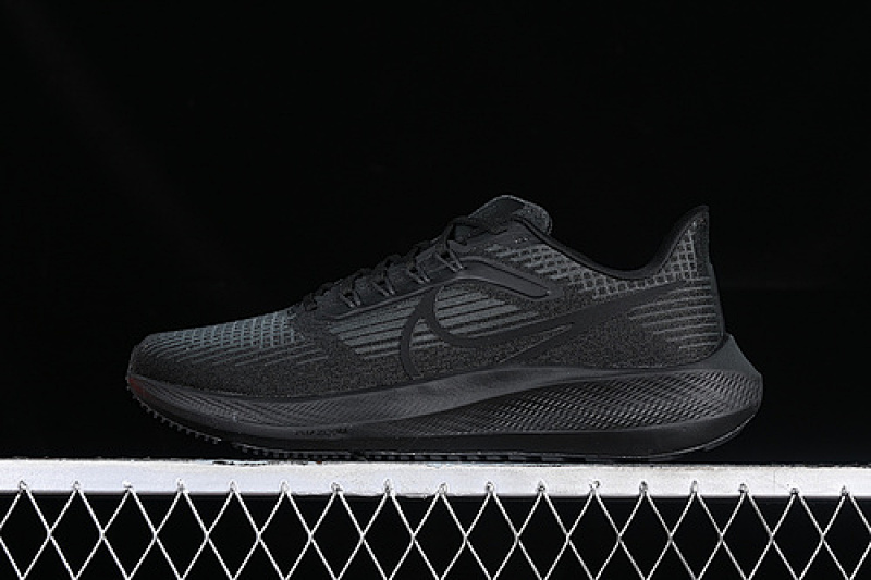 Nike Nike AIR ZOOM PEGASUS 39 BLACK/ANTHRACITE/BLACK · DH4071-006, photo 1