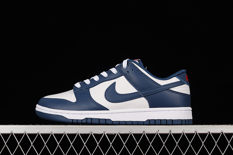 Nike DUNK LOW WHITE/UNIVERSITY RED/VALERIAN BLUE · DD1391-400, photo 1