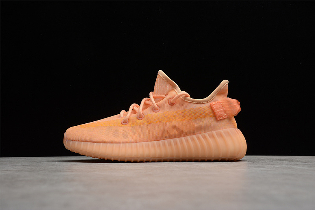 Adidas Adidas YEEZY BOOST 350 V2 MONO CLAY CLAY/MONO CLAY · GW2870, photo 1