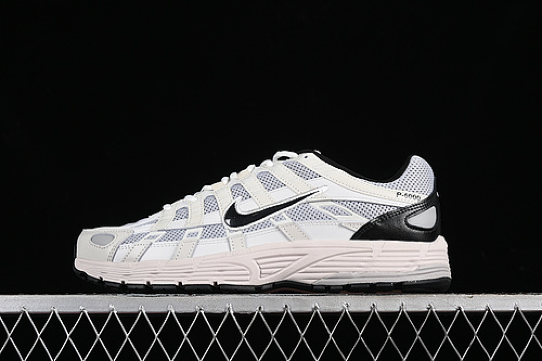 Nike Nike P-6000 PRM PLATINUM TINT/LIGHT BONE/BLACK/BLACK · HJ3488-001, photo 1