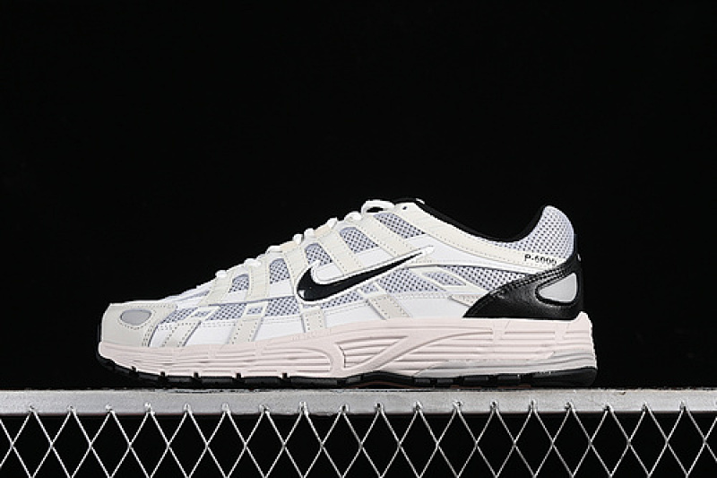 Nike Nike P-6000 PRM PLATINUM TINT/LIGHT BONE/BLACK/BLACK · HJ3488-001, photo 1