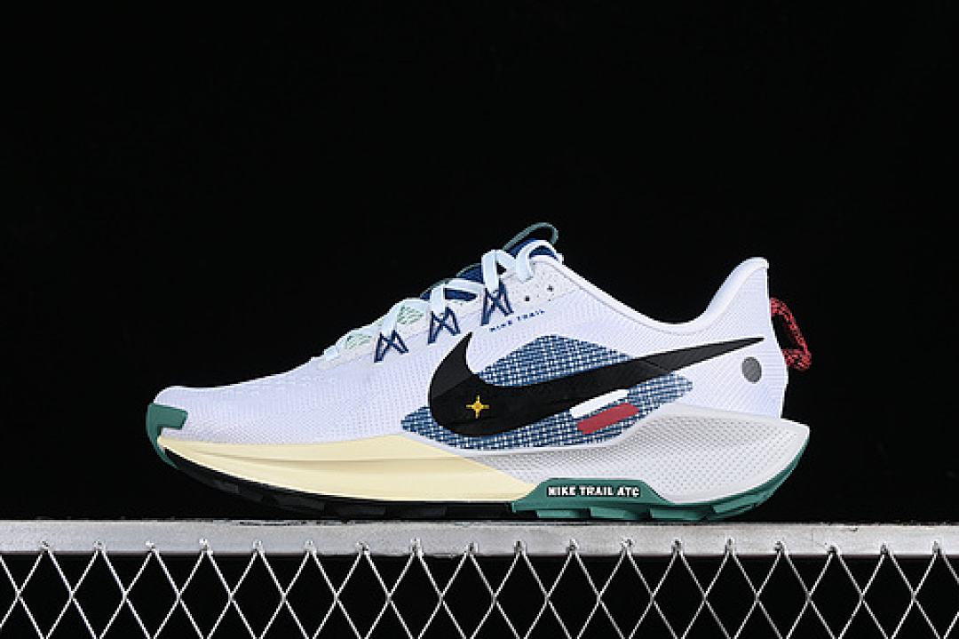 Nike Nike PEGASUS TRAIL 5 WHITE/COURT BLUE/CEDAR/BLACK · DV3864-100, photo 1