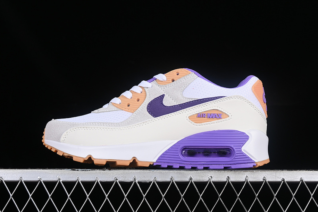 Purple [DM0029-102]-[AIR MAX 90 SAIL PURPLE/WHITE/GREY]-[WOMAN:36-39]-[MAN:40-45], photo 1