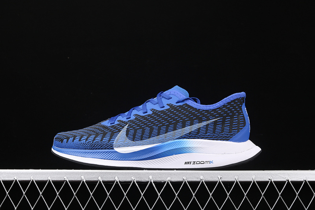 Nike [AT2863-400]-[ZOOM PEGASUS TURBO 2.0 NAVY BLUE/WHITE/WHITE]-[MAN:39-45], photo 1