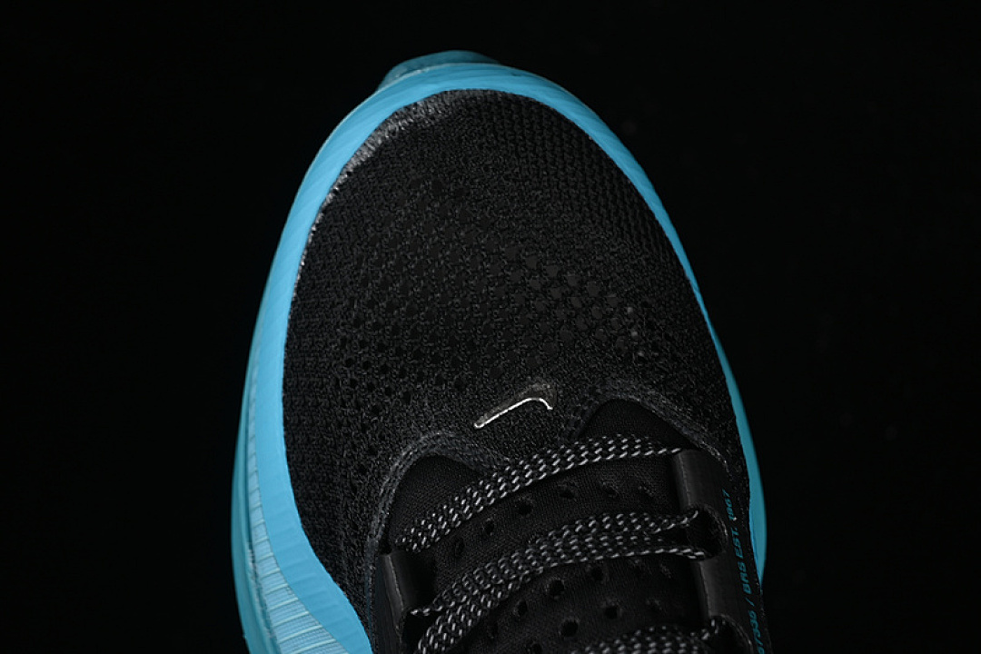 Nike [HQ2592-006]-[PEGASUS PREMIUM ANTHRACITE/PURE PLATINUM/ASHEN SLATE/GREY/METALLIC (SILVER]) - Image 10