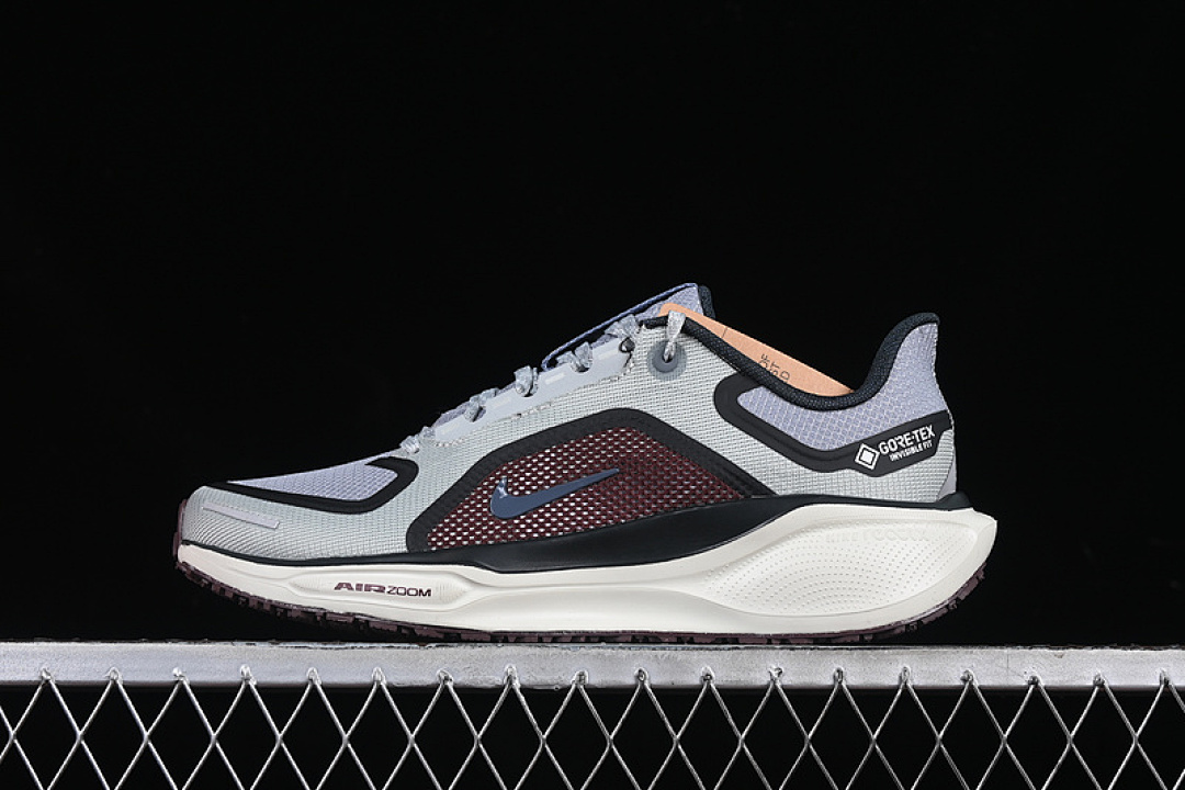 Nike [FQ1356-003]-[AIR ZOOM PEGASUS 41 GTX LIGHT PUMICE/BURGUNDY CRUSH/DARK SMOKE GREY/ASHEN (SLATE]), photo 1