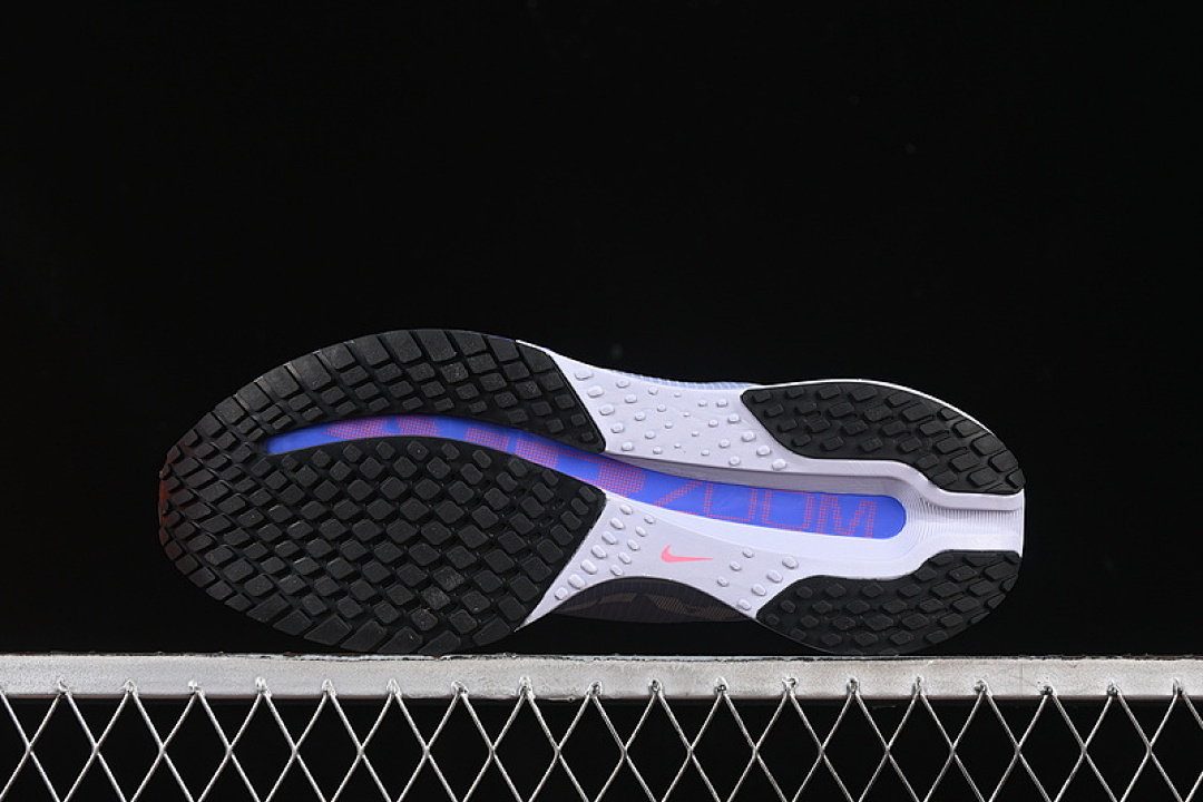 Nike [HQ2592-004]-[AIR ZOOM PEGASUS PREMIUM GHOST/BLACK/PERSIAN VIOLET]-[MAN:39-46] - Image 15