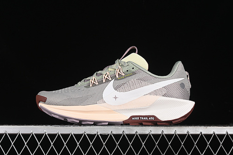 Nike Nike PEGASUS TRAIL 5 JADE HORIZON/CRIMSON TINT/LIGHT VIOLET ORE/SAIL · DV3865-300, photo 1