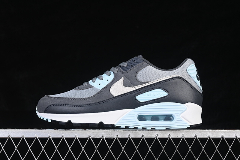 Nike AIR MAX 90 LIGHT PUMICE/SMOKE GREY/ANTHRACITE/PHOTON DUST · DM0029-009, photo 1