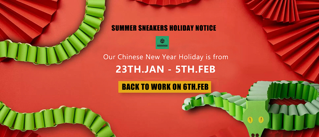 Unbranded 2025 CHINESE NEW YEAR, photo 1
