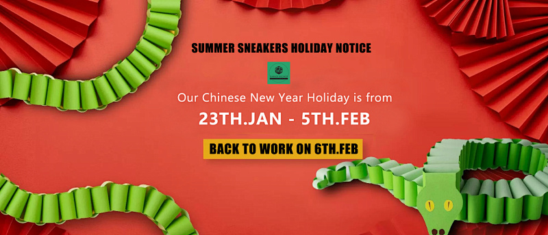 Unbranded 2025 CHINESE NEW YEAR, photo 1