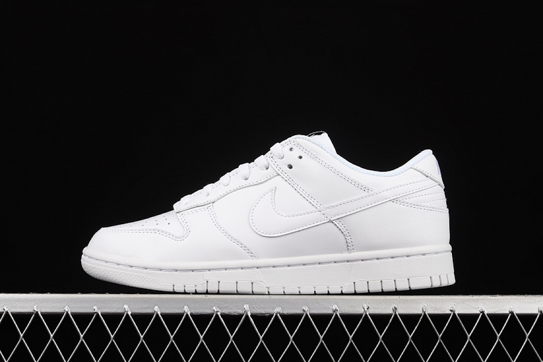Nike SB DUNK LOW WHITE/WHITE/WHITE · DD1503-109, photo 1