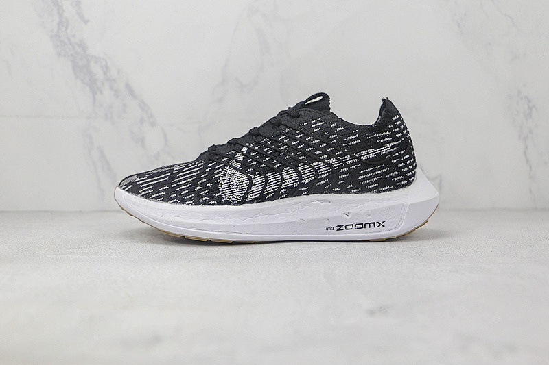 Nike Nike AIR PEGASUS TURBO NEXT NATURE BLACK/OFF-NOIR/SESAME/SAIL · DM3413-001, photo 1